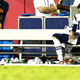 Illustration for article titled Dont Ask Bill Belichick If Its Time To Think About His Quarterbacks